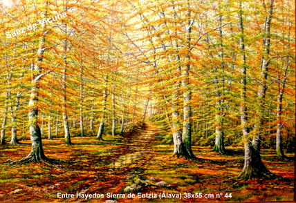 Hayedos 55x38 cm nº 44