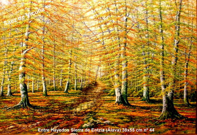 Hayedos 55x38 cm nº 44