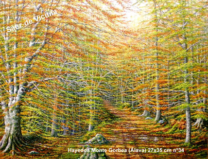 Paseo 35x27 cm nº 34