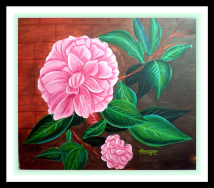 Camelia