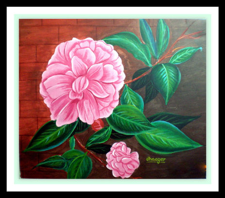 Camelia