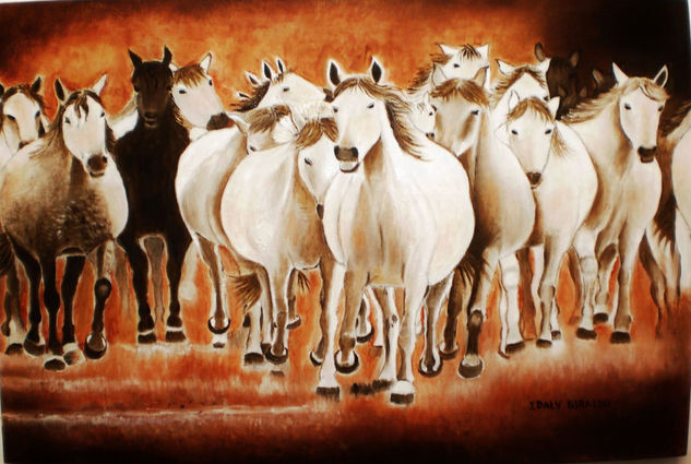 Arabic Horses Oil Canvas Animals