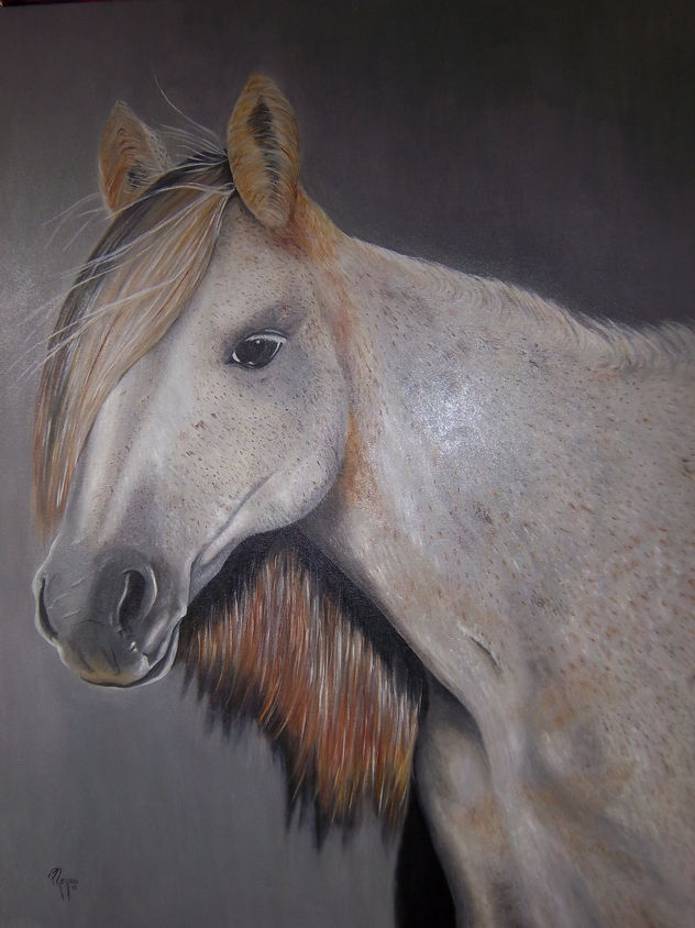 caballo pecoso