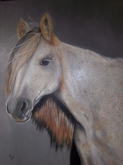 caballo pecoso Oil Canvas Landscaping