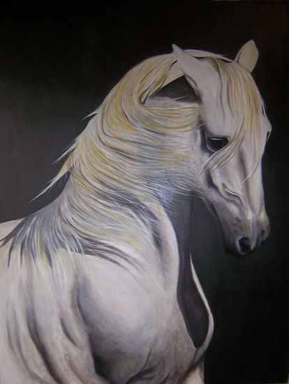 caballo blanco Oil Canvas Animals