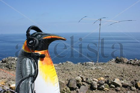 Pinguino