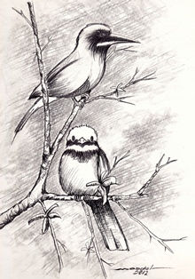 LIBERTAD