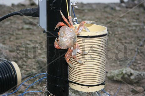 El experto en antenas