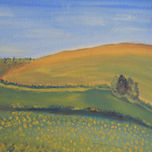 DEL VERDE AL AMARILLO  -  2011 thumbnail 2