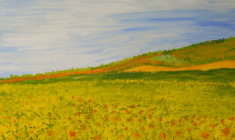 DEL VERDE AL AMARILLO  -  2011