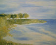 LAGO MICHIGAN