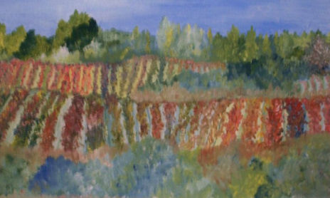 LUCES Y SOMBRAS  -  2010