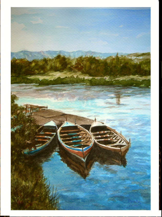 Barcas
