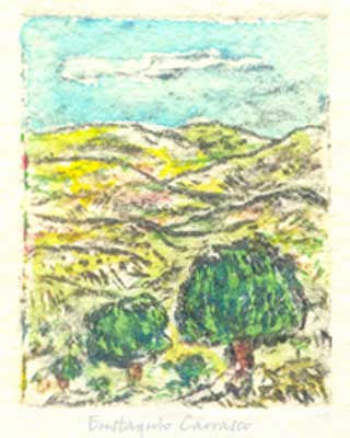 Paisaje con encinas