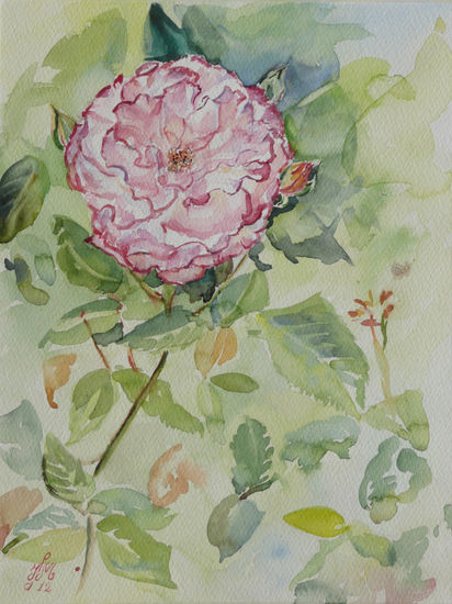 Rosa Haendel Watercolour Paper Floral Painting