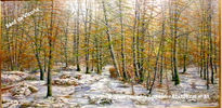 Bosque.60x120 cm nº51
