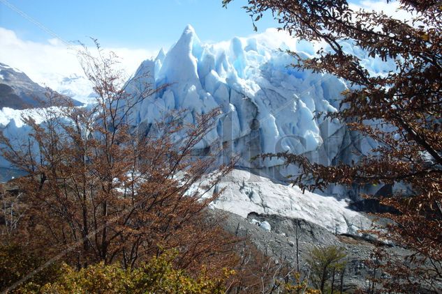 Perito Moreno 9 Naturaleza Color (Digital)