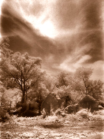 Tormenta Naturaleza Blanco y Negro (Digital)