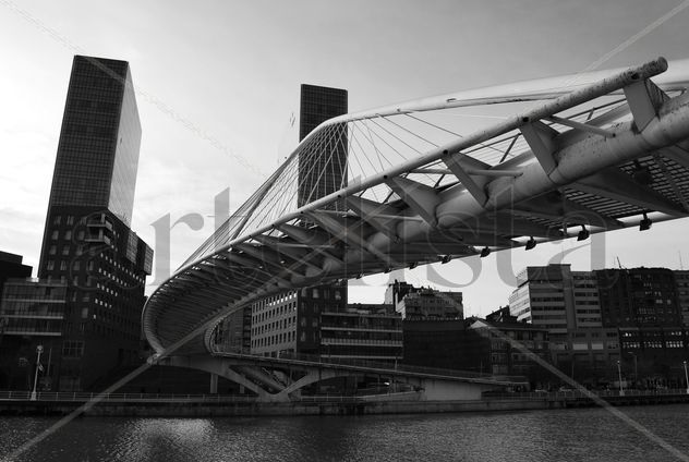 puente Calatrava