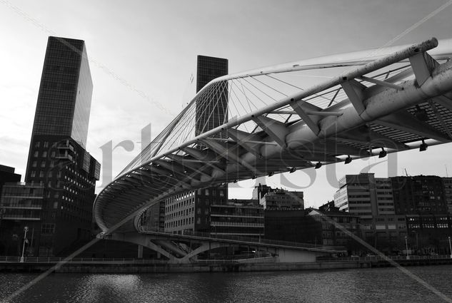 puente Calatrava Architecture and Interiorism Black and White (Digital)