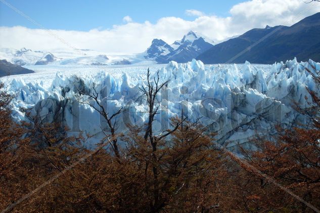 Perito Moreno 6 Naturaleza Color (Digital)