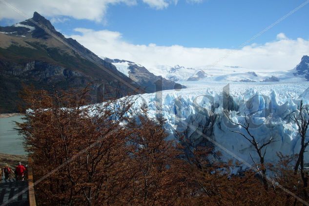 Perito Moreno 4 Naturaleza Color (Digital)