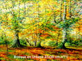 Hayedos.27x35 cm nº71