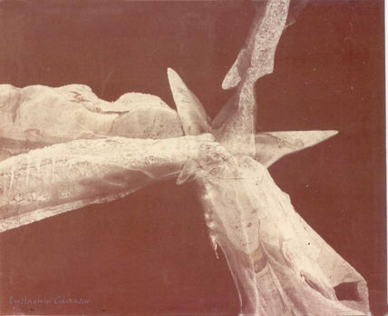 Estrella del Mewert