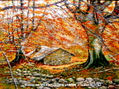 Borda.27x35 cm nº53