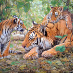 Animales thumbnail 1