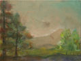 paisaje 2009
