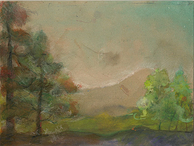 paisaje 2009