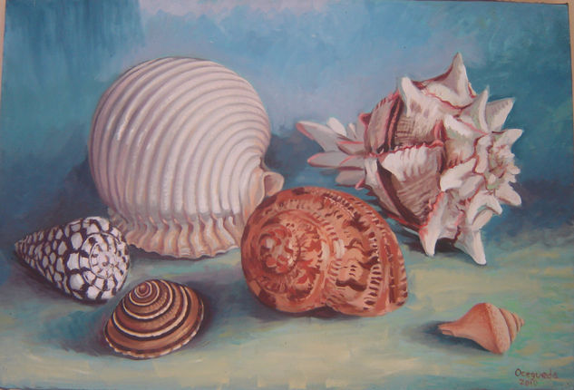 Corazas Oil Canvas Still Life Paintings