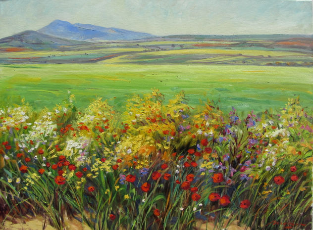 paisaje Toledano  en primavera