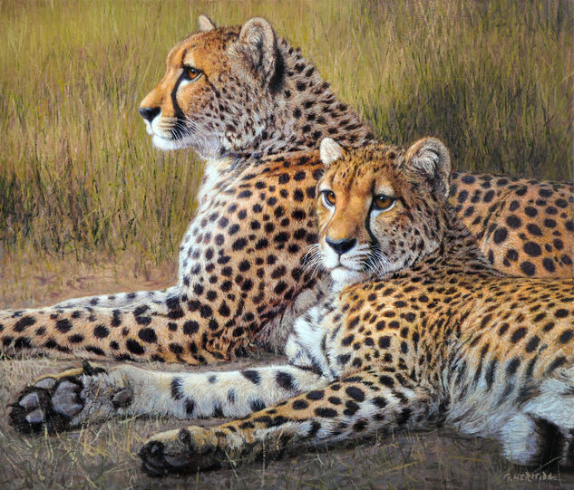 Pareja de guepardos Óleo Lienzo Animales