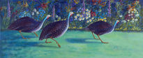 Guinea Fowl,...