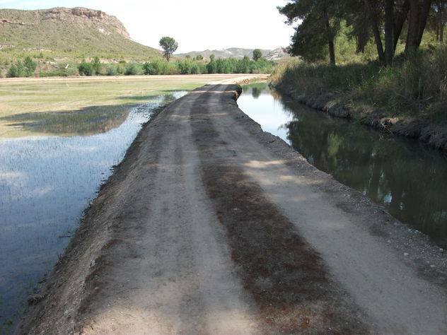 CALASPARRA 1
