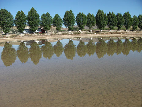 Calasparra,2
