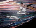 "Volando con gaviotas  (flying with seagulls)"