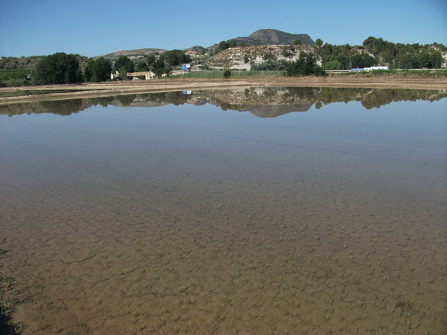 CALASPARRA 3
