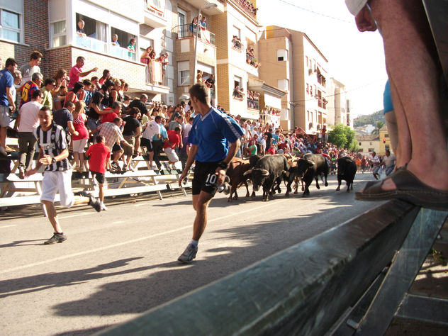 CALASPARRA 4
