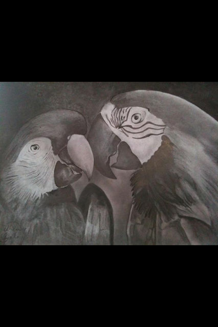 Guacamayas