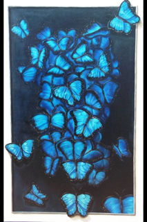 mariposas