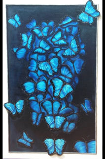 mariposas Oil Canvas Animals