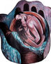 "El amor ideal  (the dream love)"