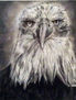 aguila