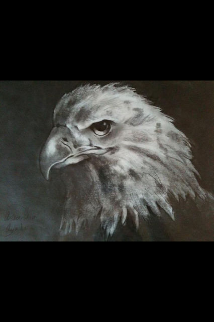 aguila