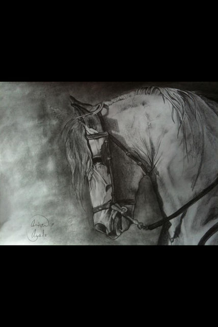 Caballo