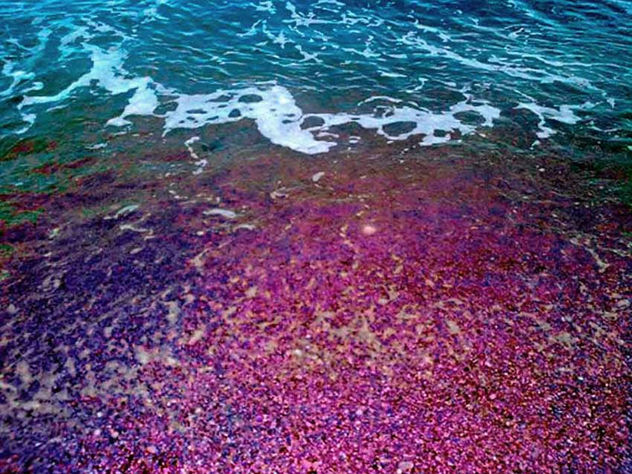El color del mar (the colour of the sea)