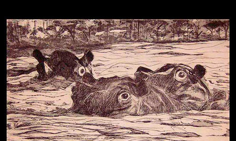 Grabados (Etchings of nature)